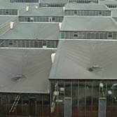 The Market Hall roof