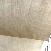 Details of Queensgate Market ceiling